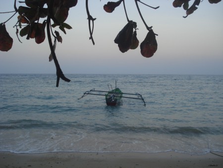 "Barco" na praia de Baucau; @2012